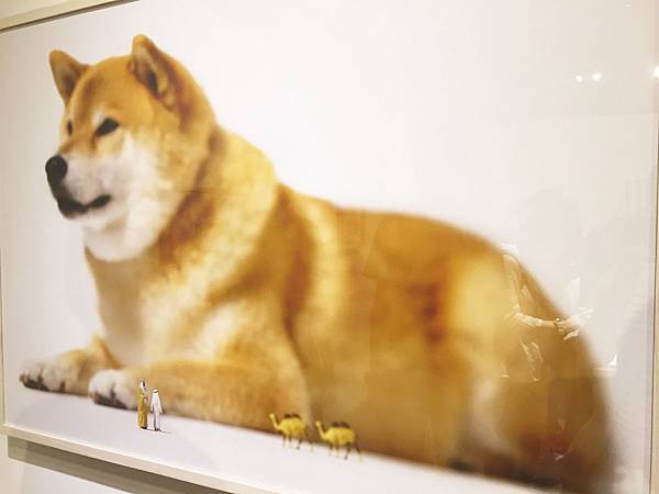 未命名-20.jpg