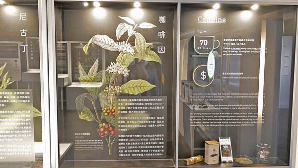 P1020216.JPG