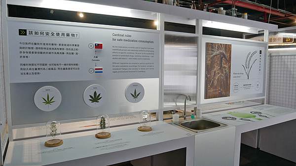 P1010847.JPG