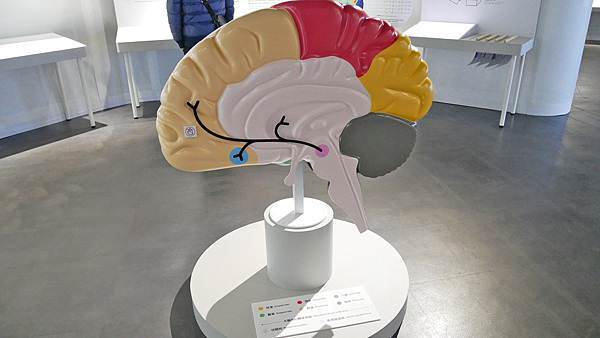 P1010853.JPG