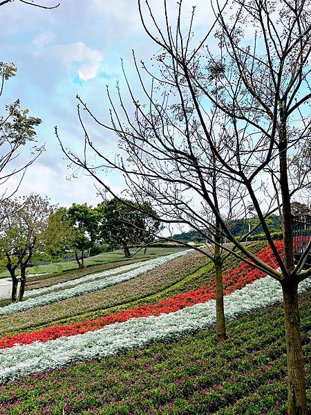 LINE_ALBUM_三層崎花海_220226_4.jpg