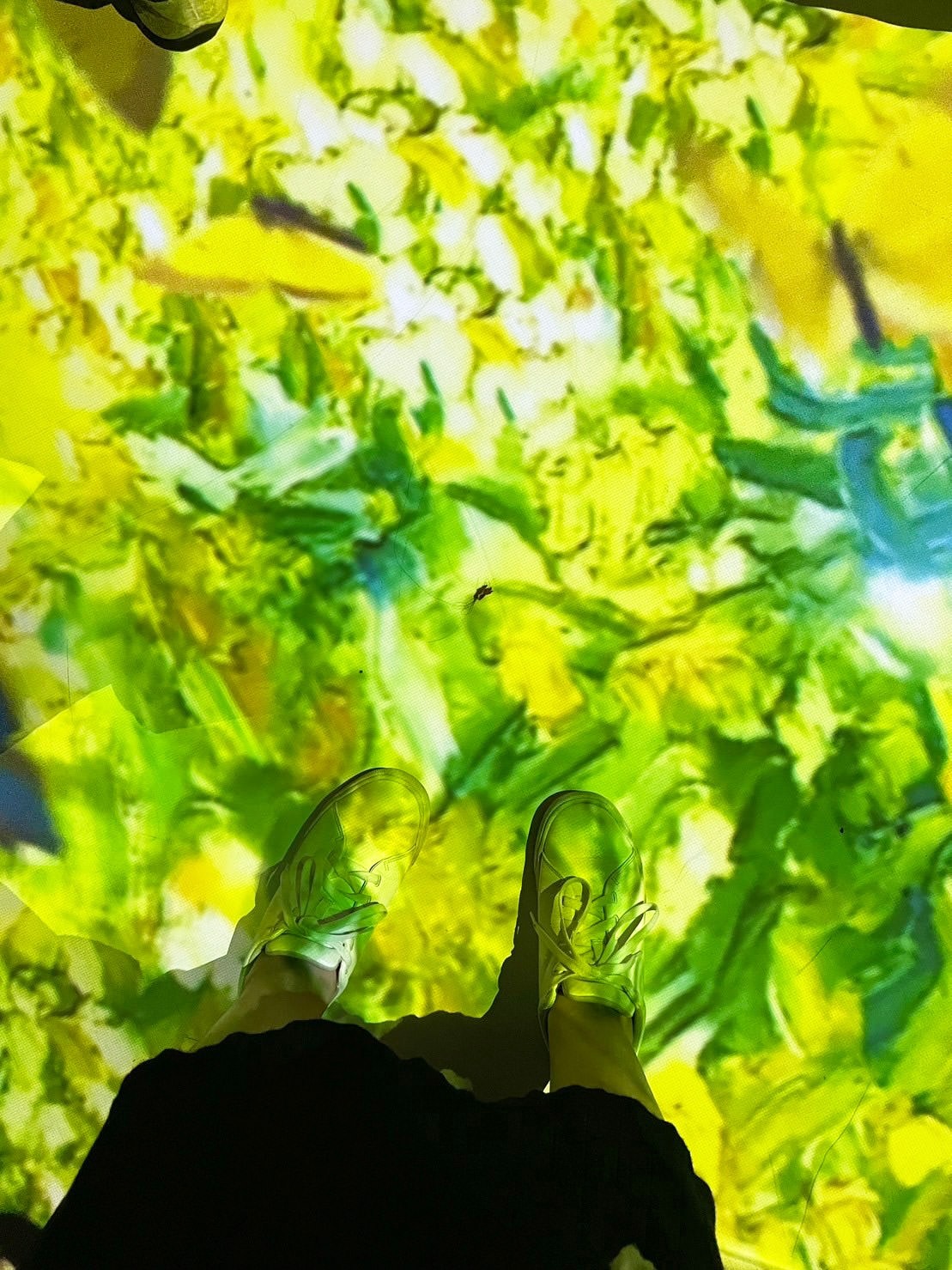 【印象派150週年光影藝術展】畫作結合科技格格不入,觀展體驗大打折扣 - 第14張圖