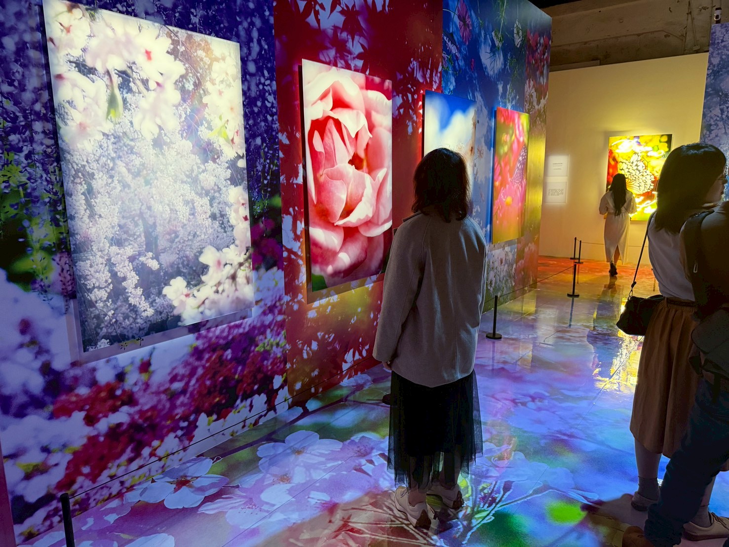 台北展覽推薦｜蜷川實花展華山拍照攻略，夢幻到捨不得離開